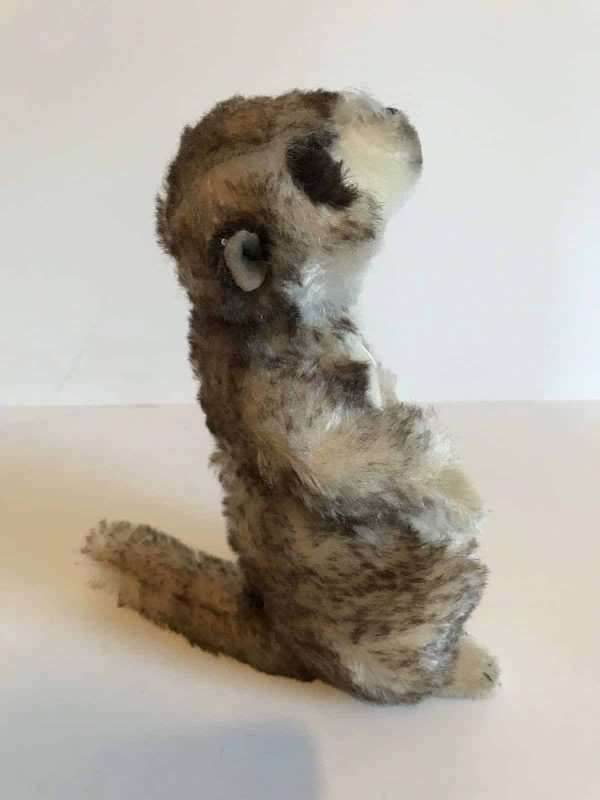 Stunning Collectable Steiff Teddy Original Cockie - Image 5