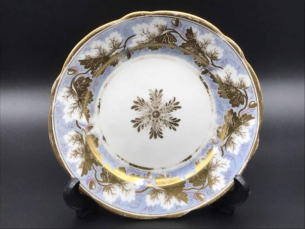 Very Rare Early 19th Century Welsh Porcelain Plate – Hand-Painted Nantgarw China Works (c.1815–1820) (2)