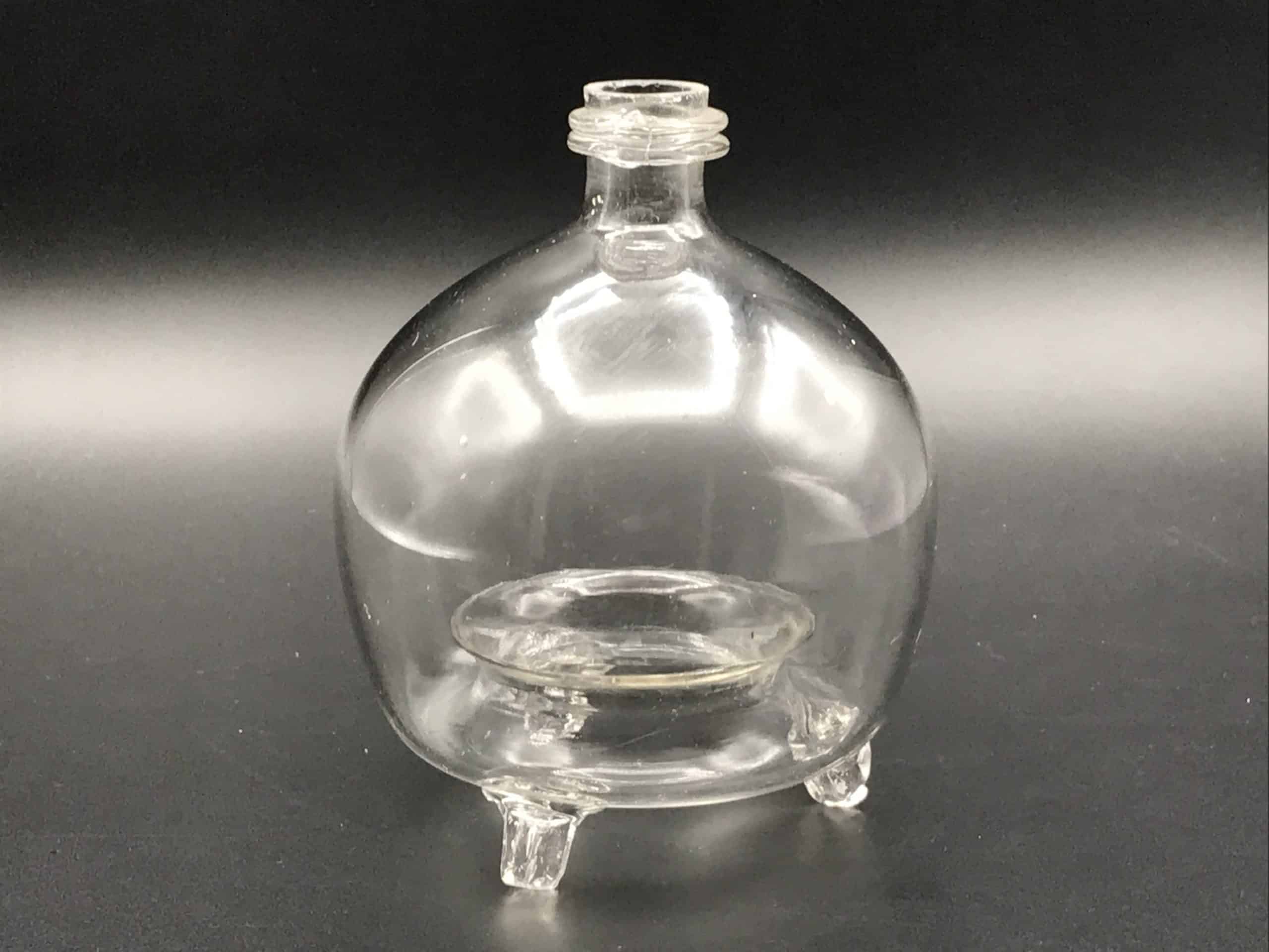 19th Century Victorian Hand Blown Glass Fly and Wasp Trap - Image 2