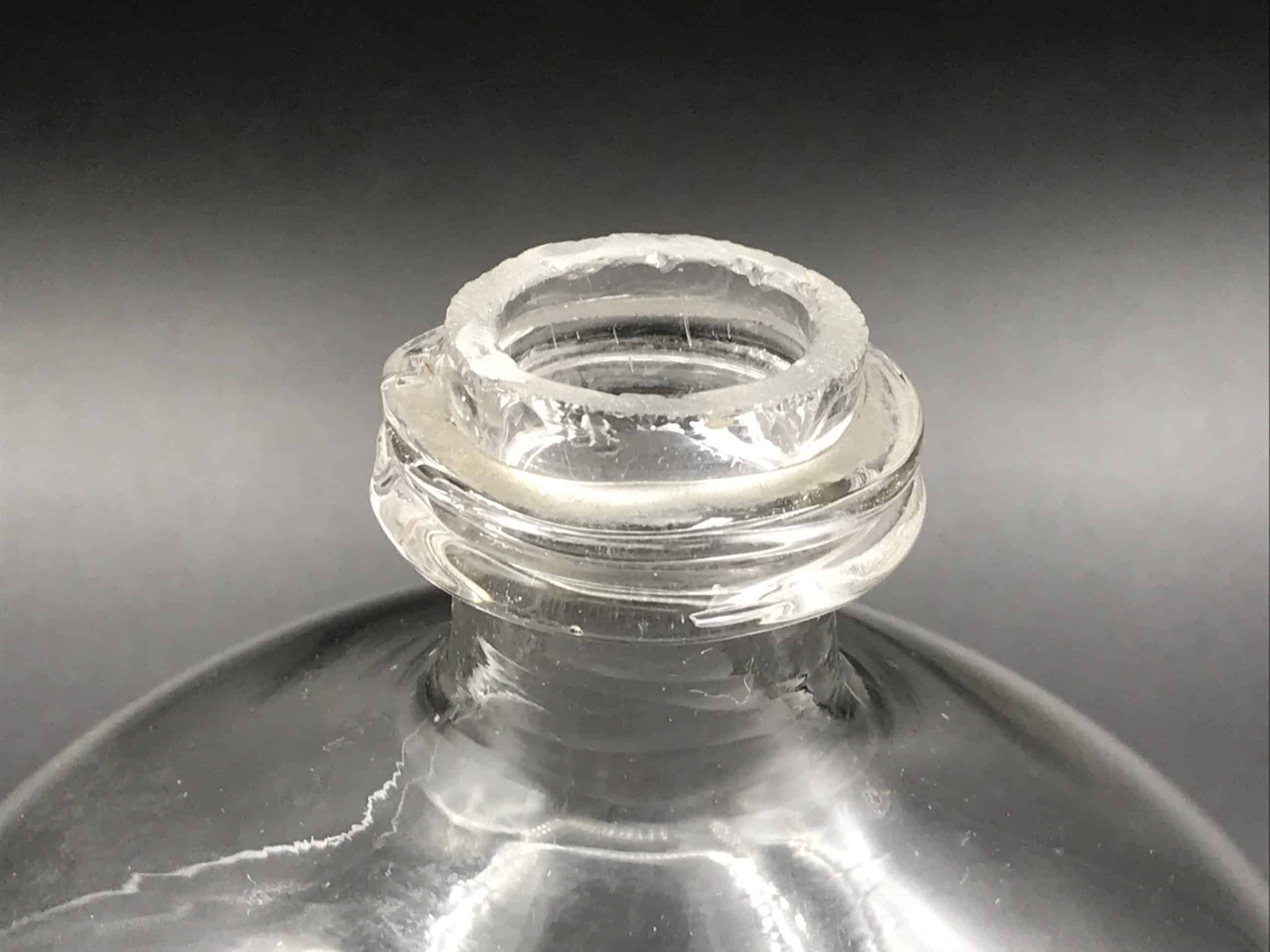 19th Century Victorian Hand Blown Glass Fly and Wasp Trap - Image 3