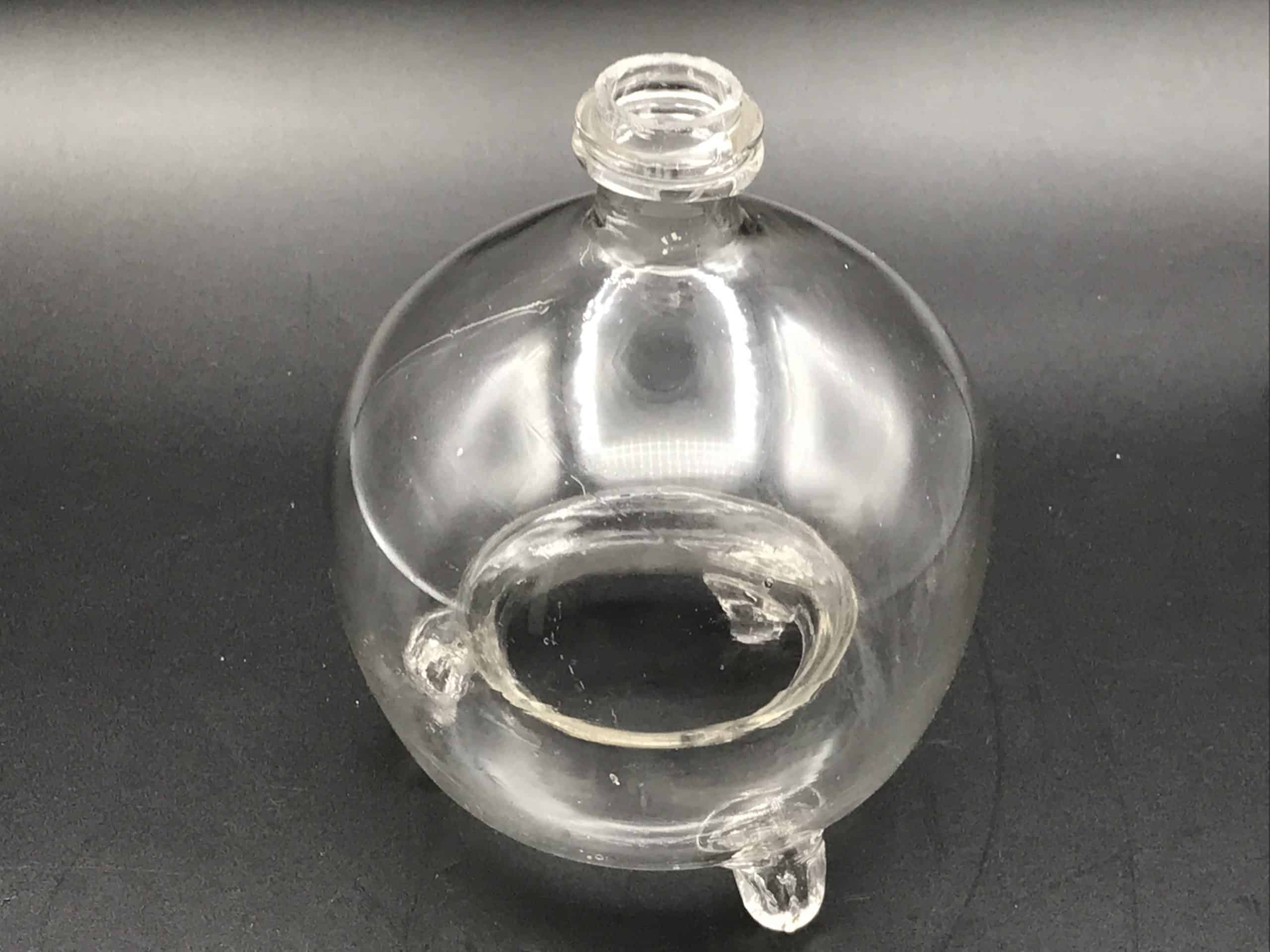 19th Century Victorian Hand Blown Glass Fly and Wasp Trap - Image 7