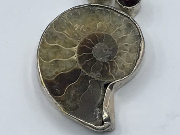 Sterling Silver Pendant 66 Million Year Old Ammonite Fossil - Image 3