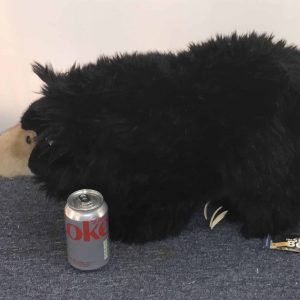 🧸 1998 STEIFF Smithsonian USA Sloth Black Bear – Limited Edition