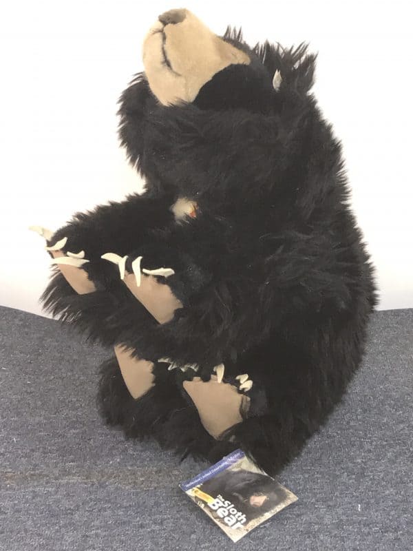 🧸 1998 STEIFF Smithsonian USA Sloth Black Bear – Limited Edition - Image 5