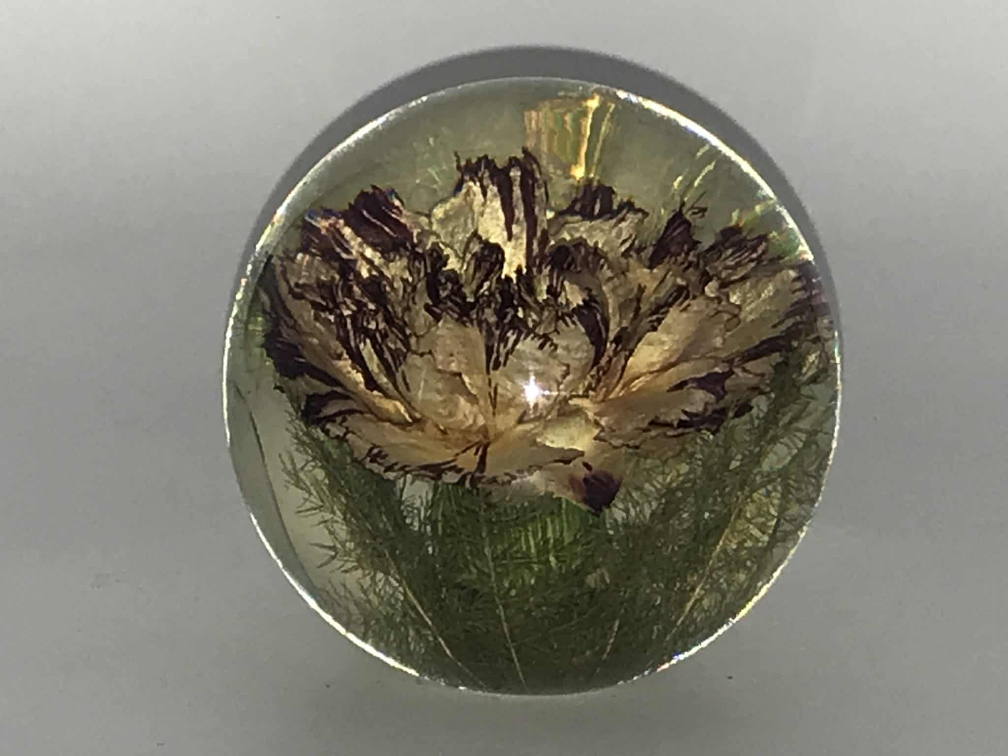 Beautiful Large 1998 Hafod Grange Lucite Paperweight — Antiques Arena