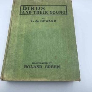 Antique Book Birds and Their Young By T. A. Coward Illustrated by Roland Green