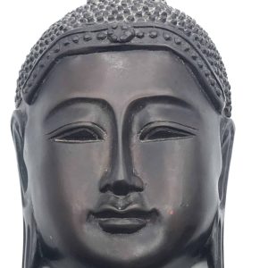Indian Carved Wall Mask Buddha lignum vitae
