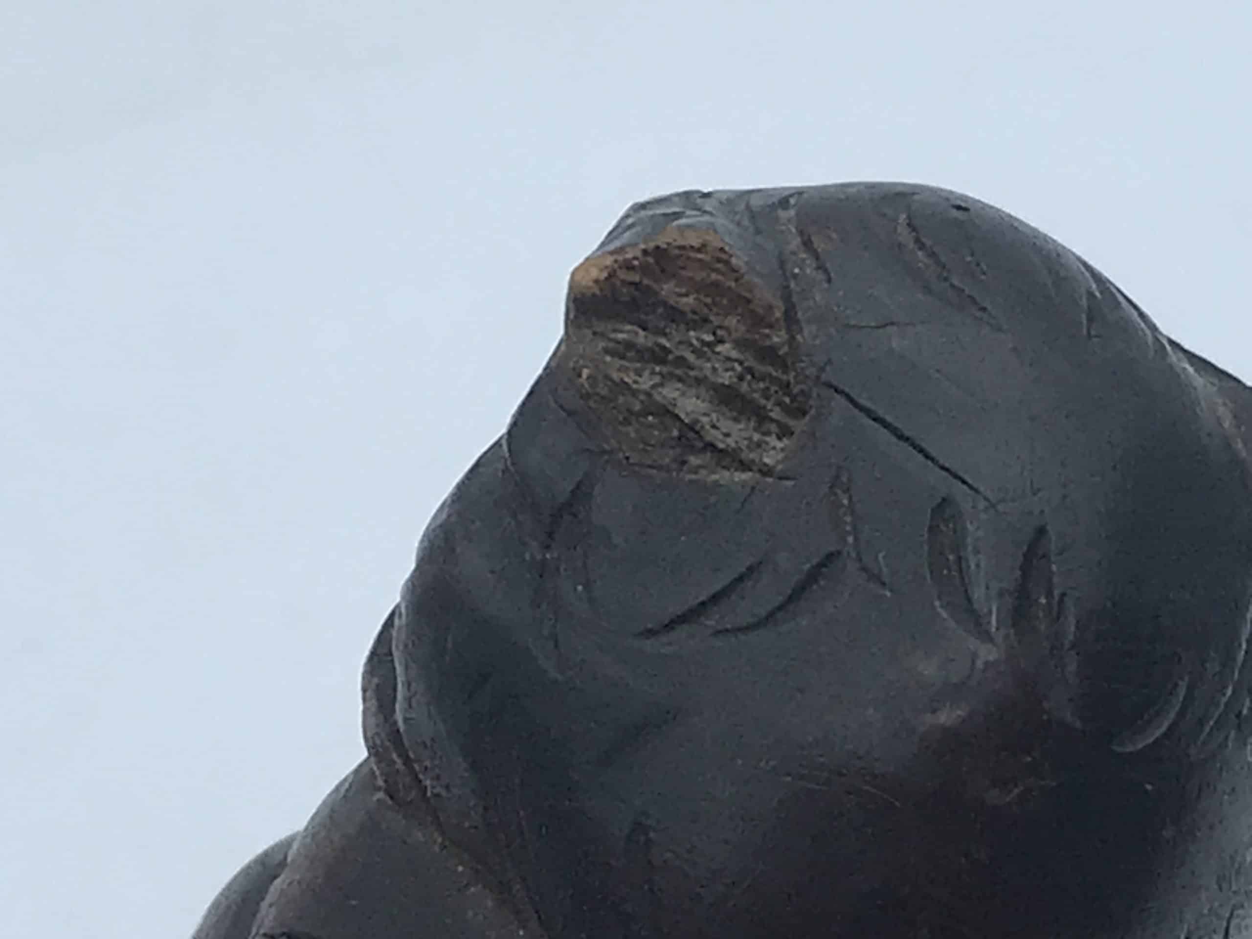 Antique Black Forest Carved Wood Owl Spill Vase - Image 8