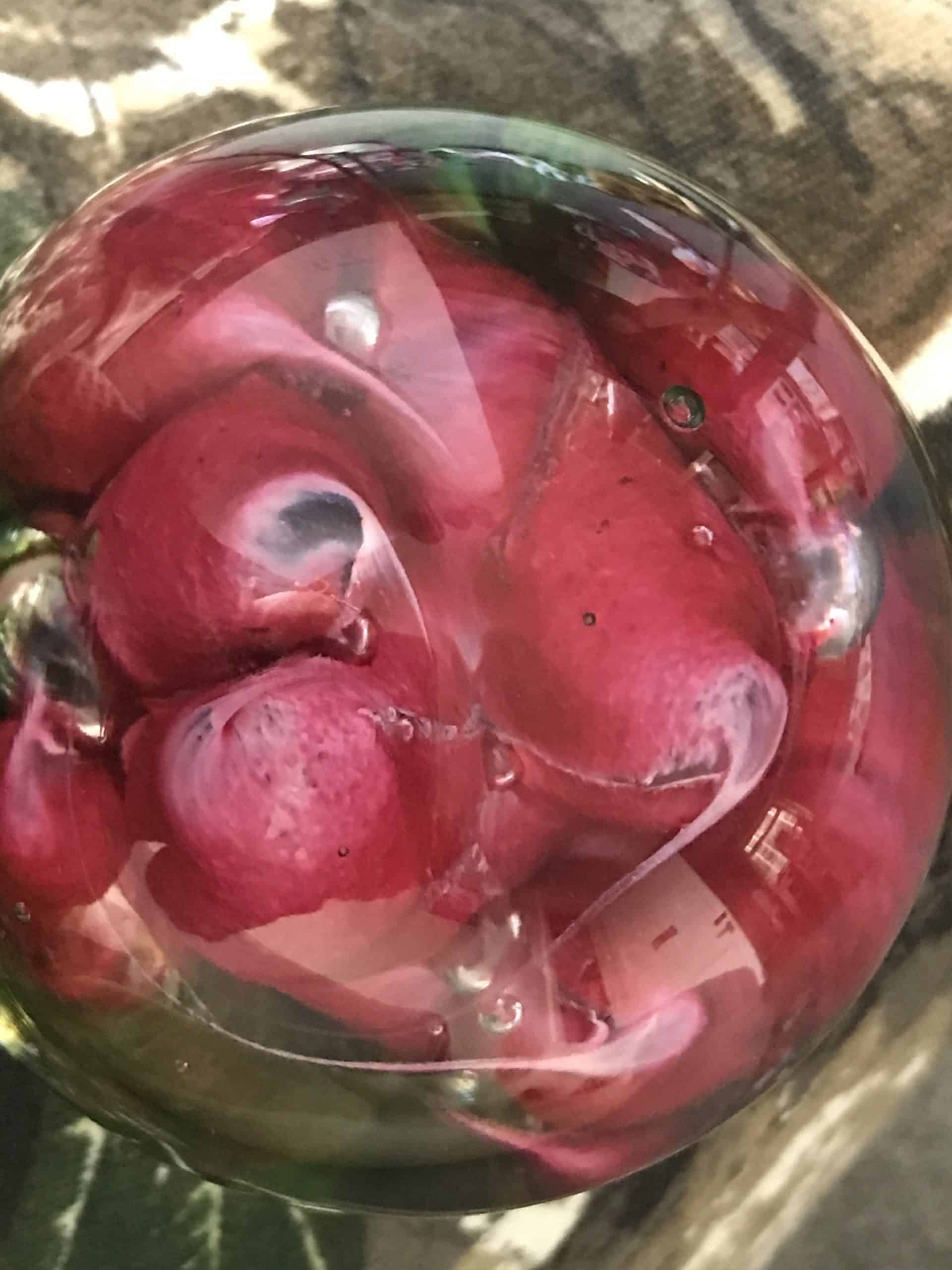 Superb Maltese Mtarfa Signed Glass Paperweight - Image 3