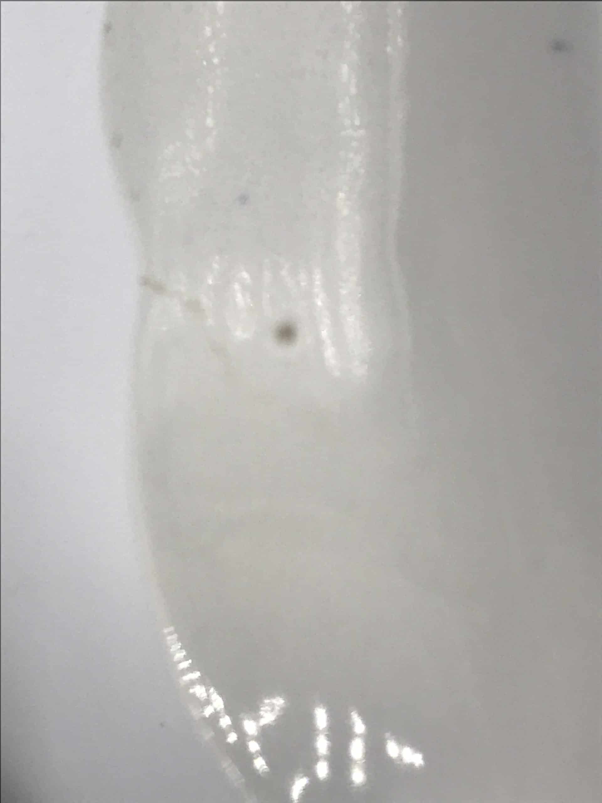 Set Six Real Old Willow Pattern Dinner Plates By Booths Post 1944 - Image 10