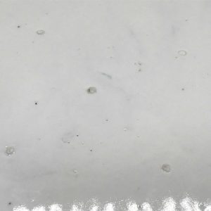 Huge Antique Japanese Meiji Period Porcelain Charger – Hand-Painted Peony Design