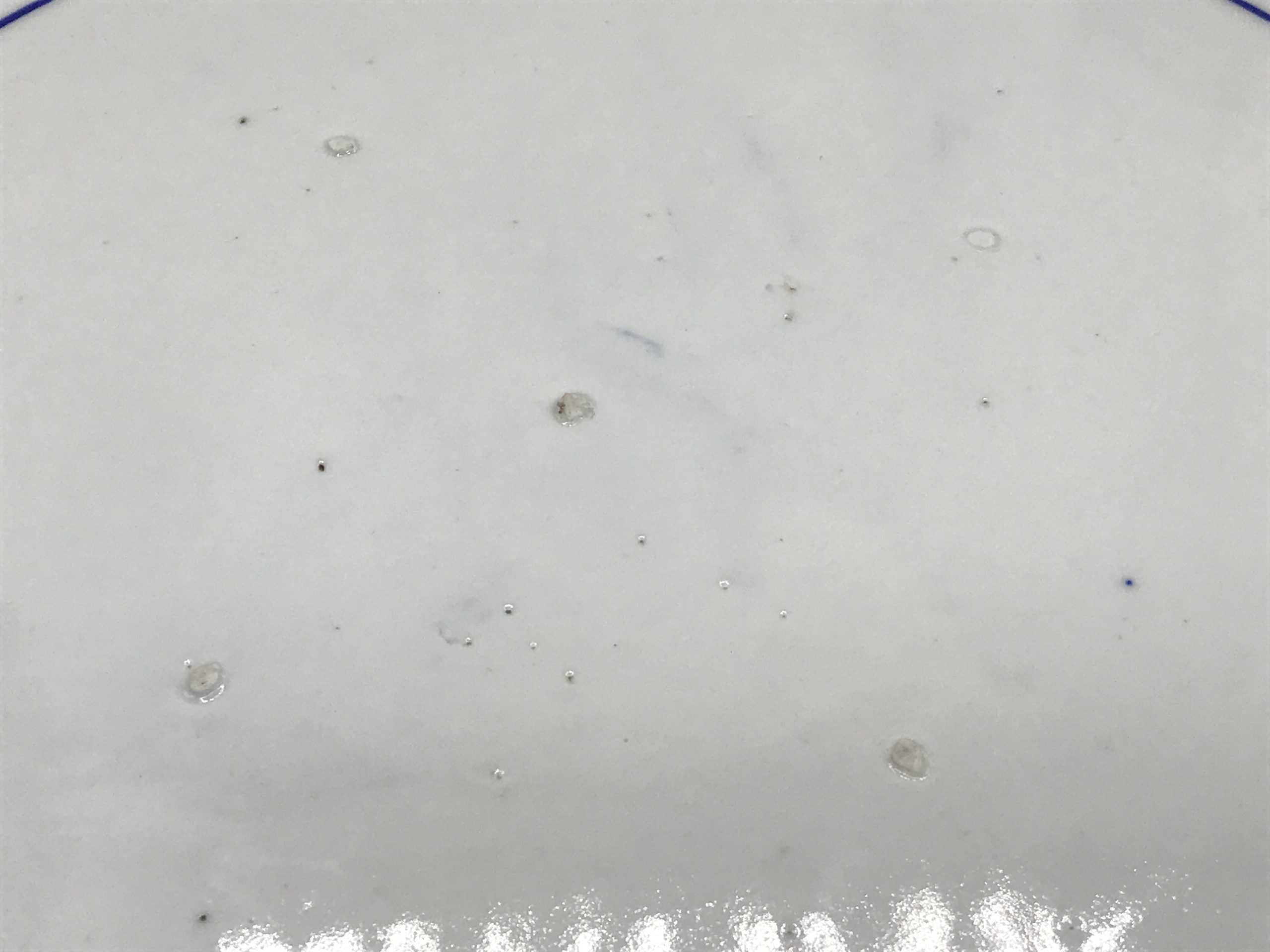 Huge Antique Japanese Meiji Period Porcelain Charger – Hand-Painted Peony Design - Image 2