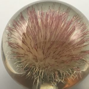 Early Large Hafod Grange Lucite Thistle Paperweight