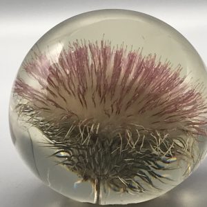 Early Large Hafod Grange Lucite Thistle Paperweight