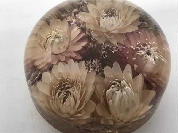 Large Vintage Dried Flower Lucite Paperweight - Image 3