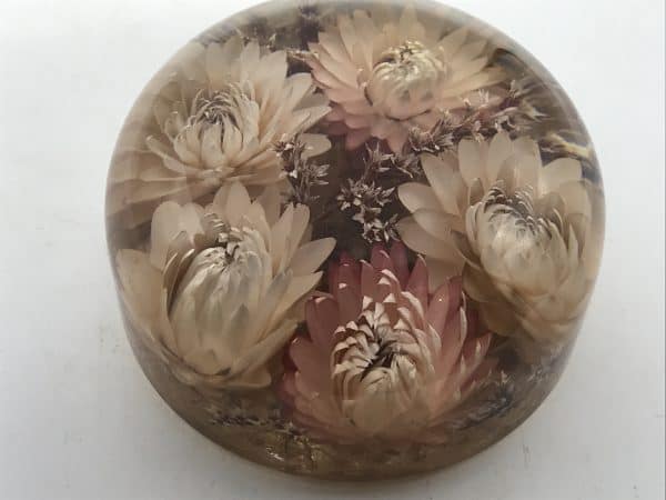 Large Vintage Dried Flower Lucite Paperweight - Image 4