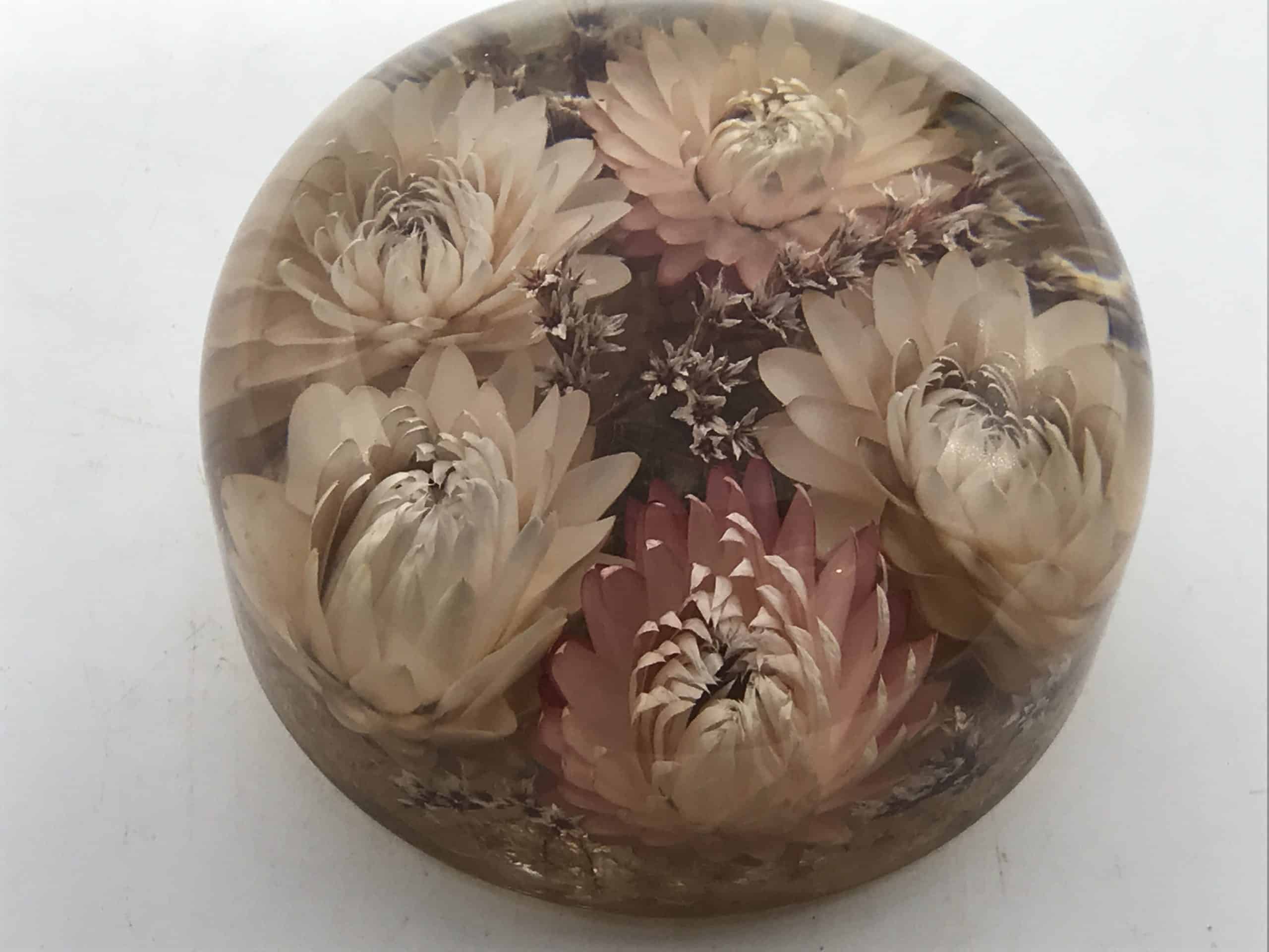 Large Vintage Dried Flower Lucite Paperweight - Image 4