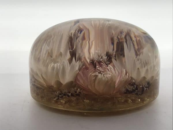 Large Vintage Dried Flower Lucite Paperweight - Image 5