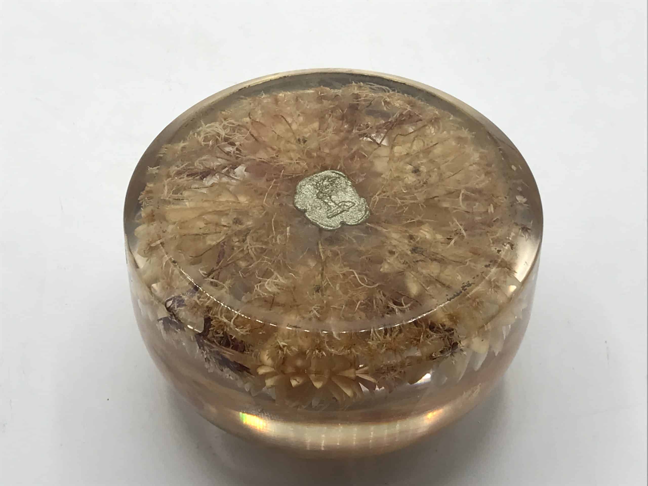 Large Vintage Dried Flower Lucite Paperweight - Image 7
