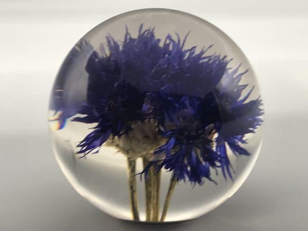 Hafod Grange Lucite Floral Paperweight