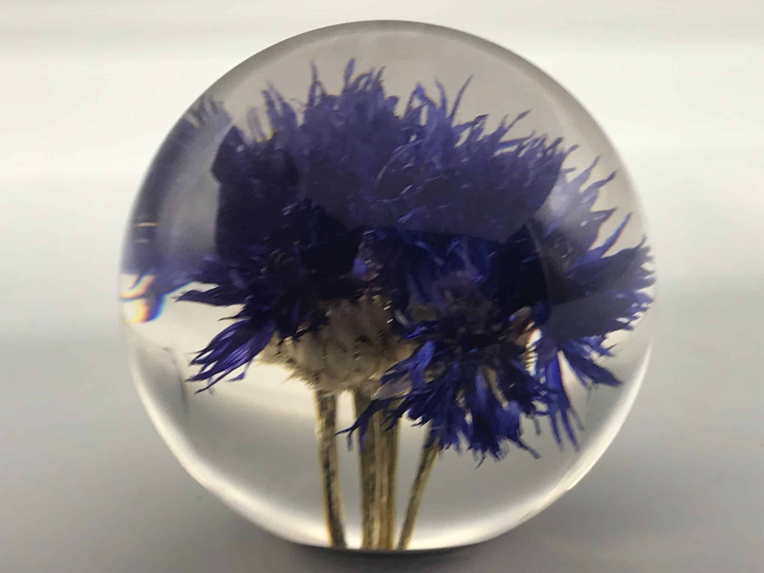 Hafod Grange Lucite Floral Paperweight