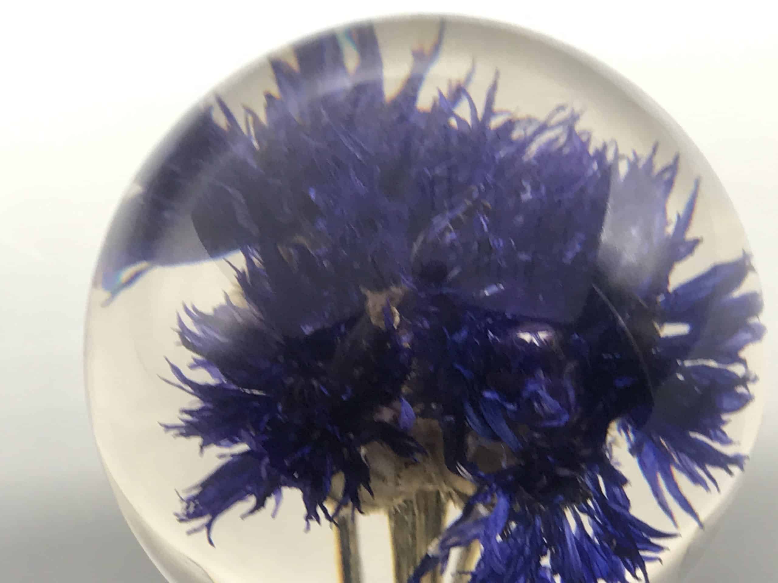 Hafod Grange Lucite Floral Paperweight - Image 4
