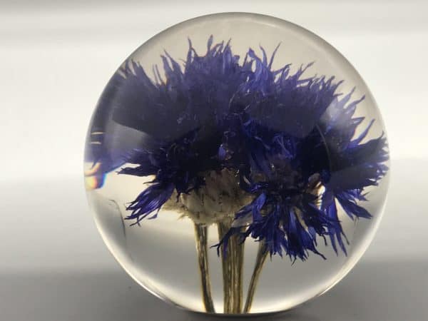 Hafod Grange Lucite Floral Paperweight - Image 5