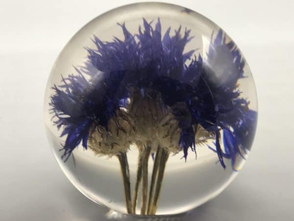 Hafod Grange Lucite Floral Paperweight - Image 6