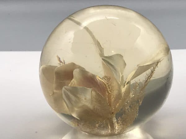 Large 1989 Hafod Grange Lucite Floral Paperweight