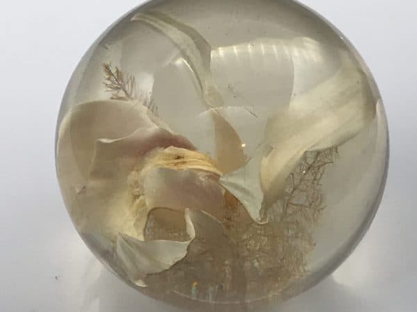 Large 1989 Hafod Grange Lucite Floral Paperweight - Image 3