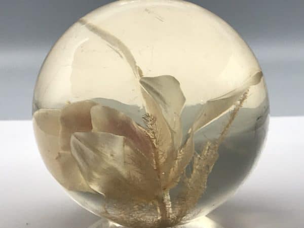 Large 1989 Hafod Grange Lucite Floral Paperweight - Image 4