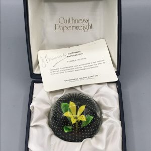 Glass Caithness “Flower in Rain” Lampwork Paperweight – Boxed