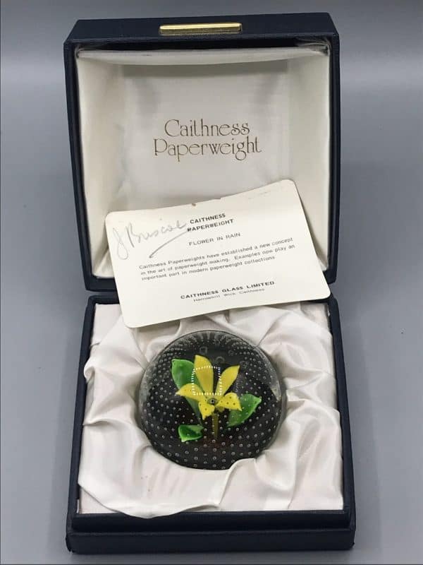 Caithness “Flower in Rain” lampwork paperweight in open presentation box with certificate