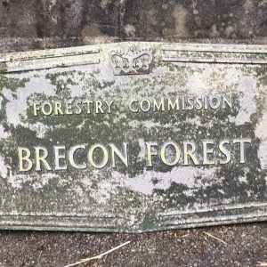 Cast Aluminium Forestry Commission Sign – Brecon Forest with Crown & Dragon Motifs – Mid 20th Century