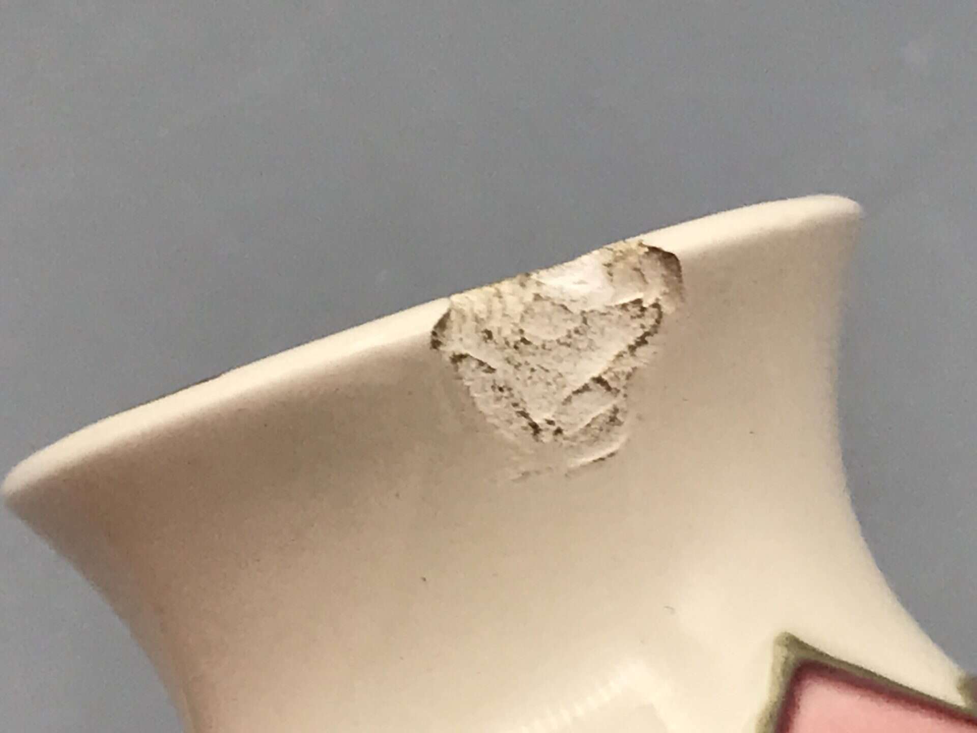 Close-up of rim chip on Moorcroft Magnolia vase, showing damage to the cream-glazed edge above the hand-painted floral design.